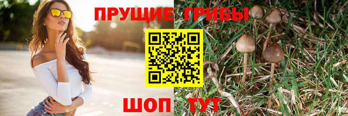 Псилоцибиновые грибы MAGIC MUSHROOMS Ипатово